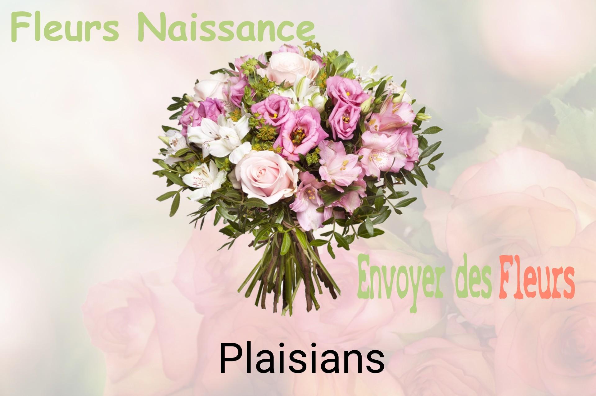 Bouquet de fleurs de naissance livré à Plaisians