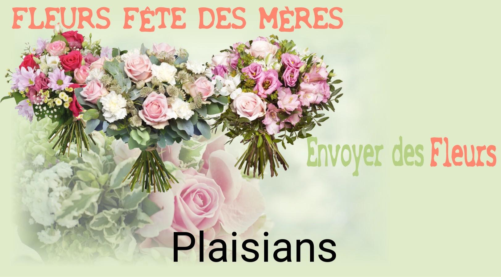 Bouquet de Fête des Mères livré à Plaisians